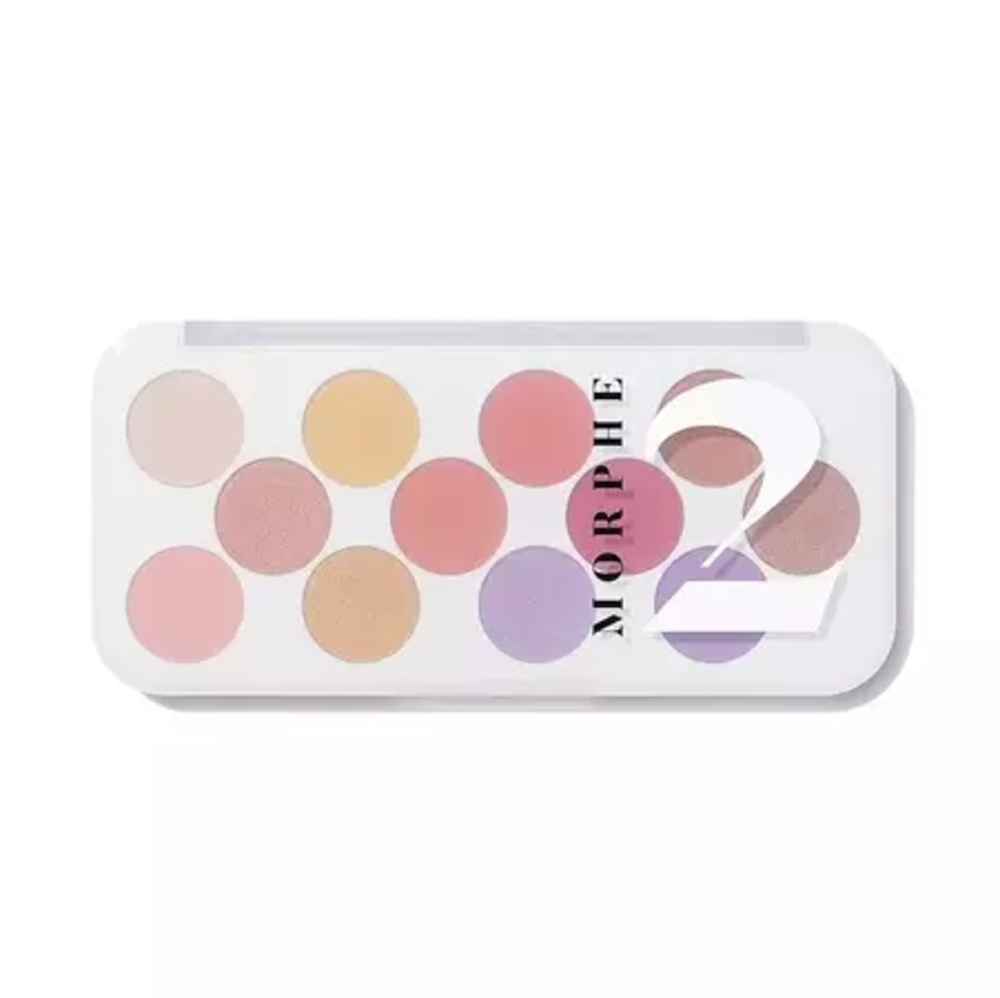 Morphe Ready For Anything Social Butterfly Eyeshadow Palette